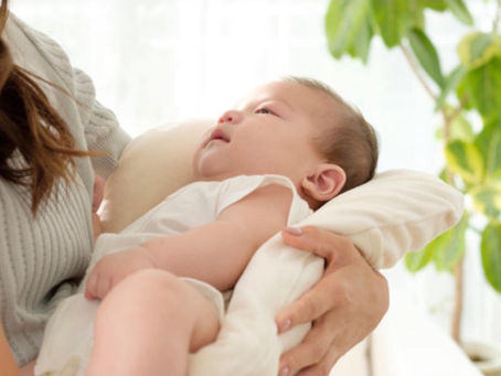 ジョリーメゾン おひろめ 展示会