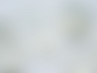 石黒紀子 個展 「私 の なかの うつわ」