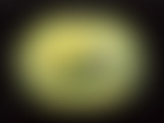 椎木彩子　個展「円環の夢、窓越しの歌」