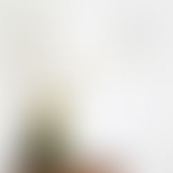 みどりの教室Vol.19　苔 玉