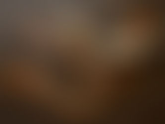 大久保ハウス木工舎の仕事 展 (木工)