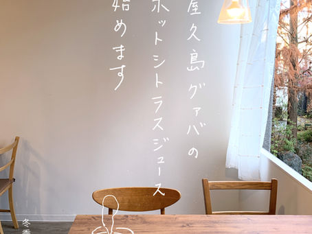 屋久島グァバのホットシトラスジュース