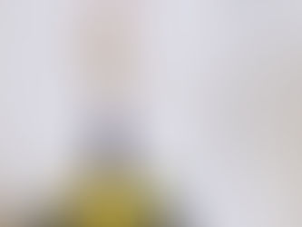 はじめてのいけばな vol.56 3月のおしらせ