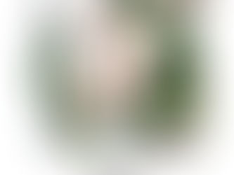 shiho morioka popup (2021-10)