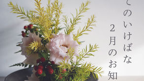 はじめてのいけばな vol.55 2月のおしらせ