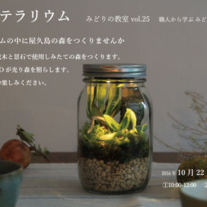 みどりの教室vol-25-「光のテラリウム」