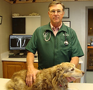 Image and description of Dr. Berry the owner.