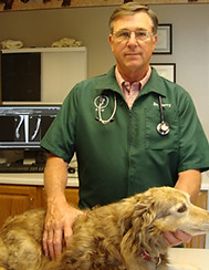 Image and description of Dr. Berry the owner.
