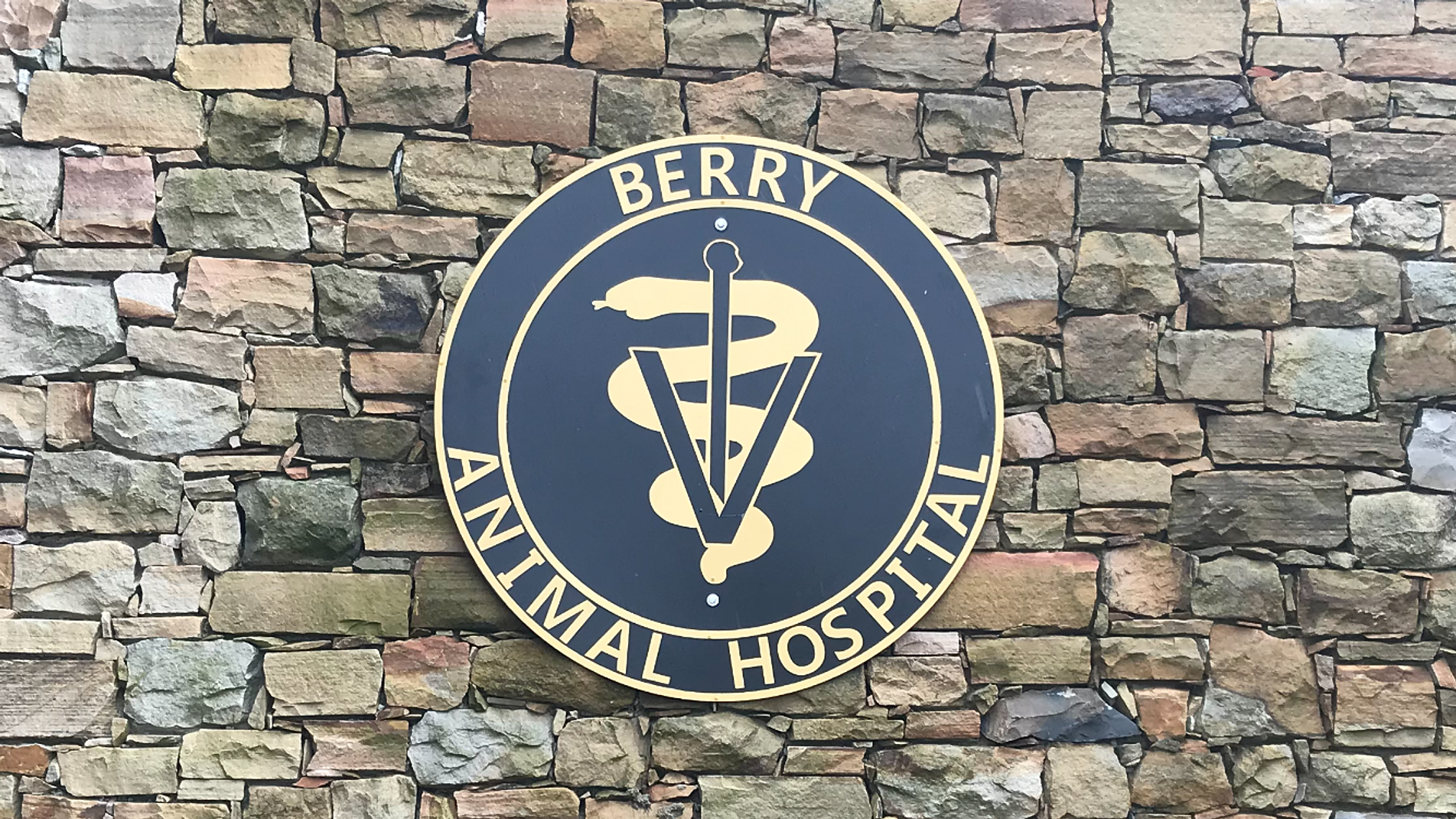 Verternarian United States Berry Animal Hospital