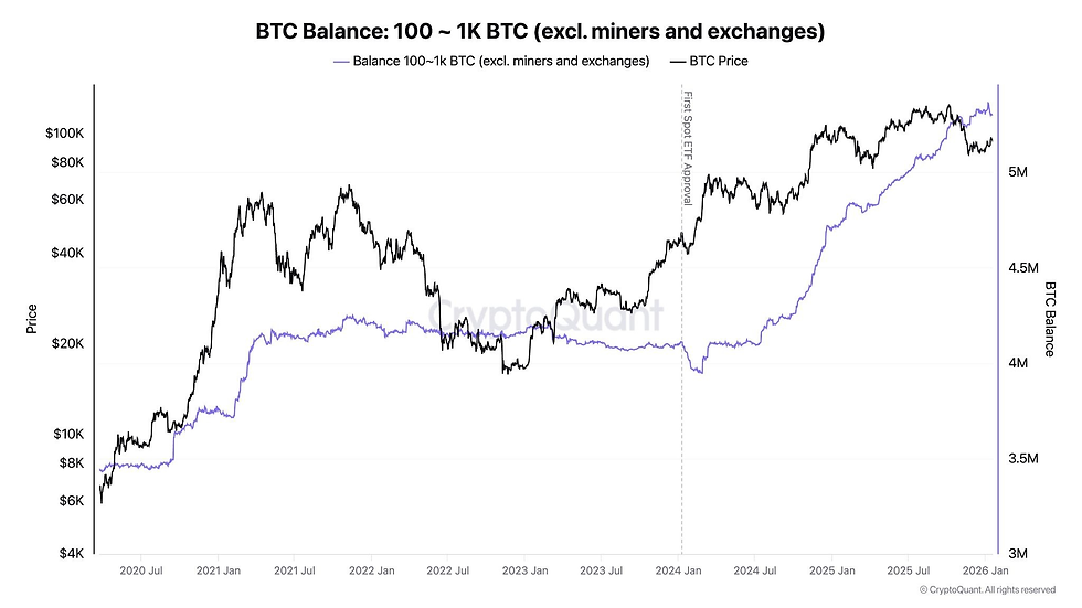 Large BTC wallets continue accumulating. Source: CryptoQuant