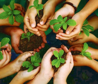 Cuidar da Natureza - 1º Ano