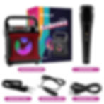Miniatura: Risebass Portable Karaoke Machine with Microphone - Home Karaoke System with Par
