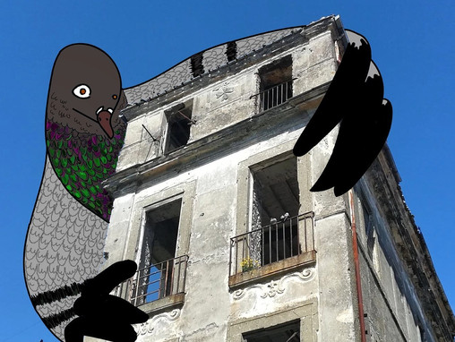 PIDGEONS AGAINST DESOLATION