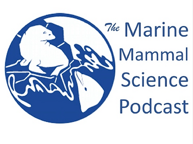 Screen Shot 2021-02-22 at 3.20.57 PM.png