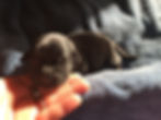 IMG_1719.jpeg