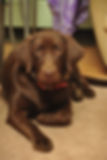 DSC_0193.jpeg