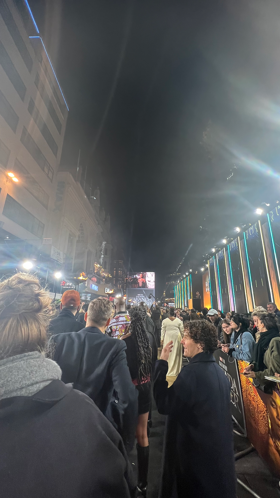 Cairo International Film Festival