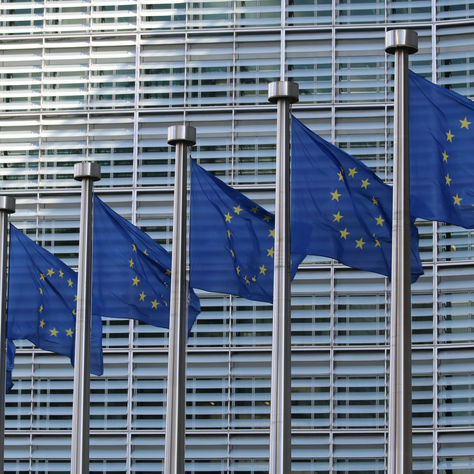 The European way