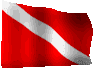 bandeiramove.gif