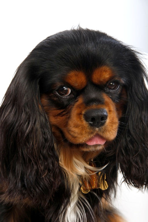 Oscar
