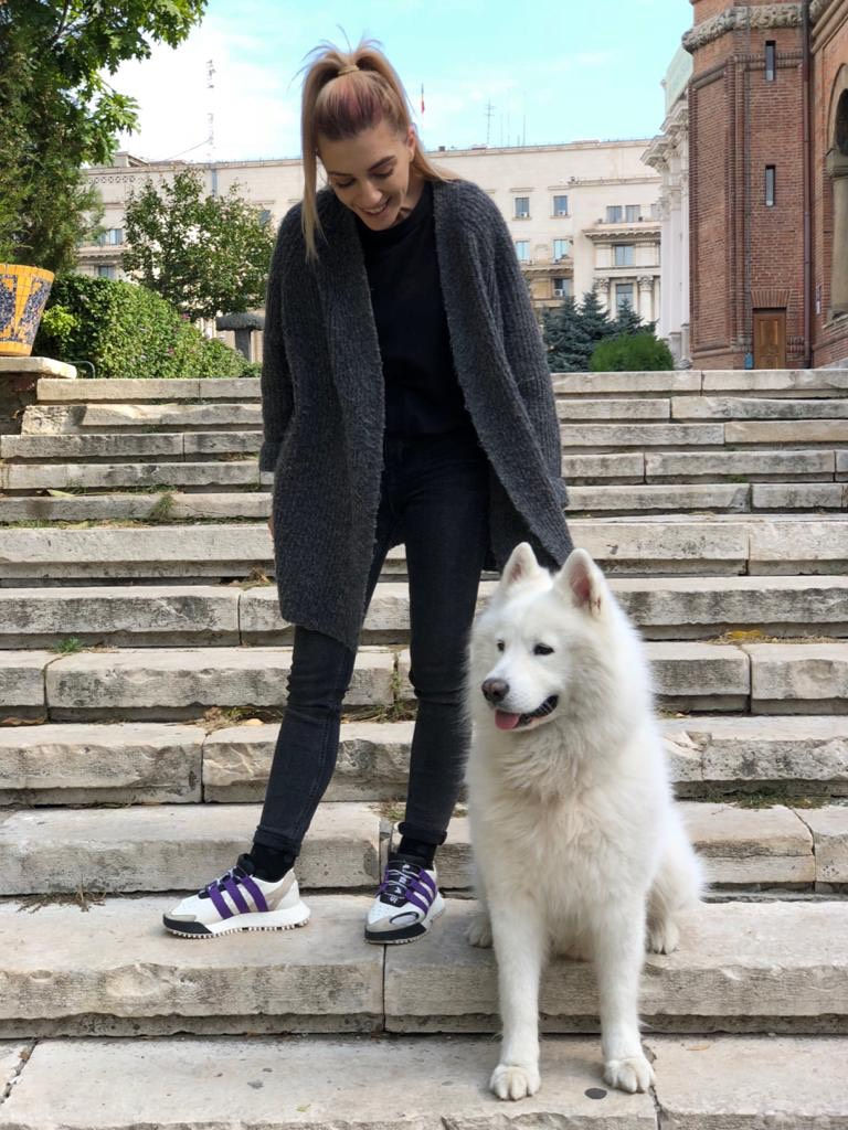 Fritz Samoyed 2