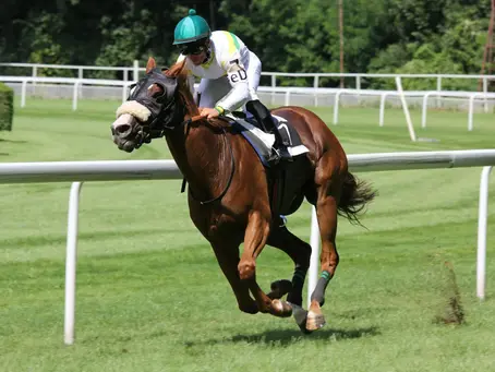 Ladies’ Day at the Races: The Ultimate Fashion Event - And How Rental Can Help You Shine