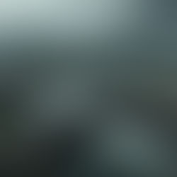 Master Houston's Chapter 19 Flood Regulations for 2026 Developments