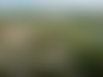 Florida Development Permitting Challenges & Solutions