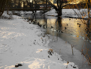 Snowmelt Flood Mitigation 