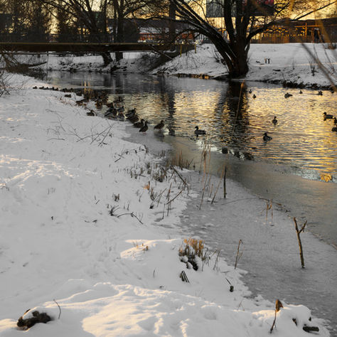 Snowmelt Flood Mitigation