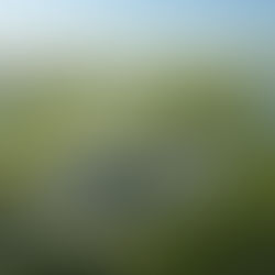 Sustainable Land Development