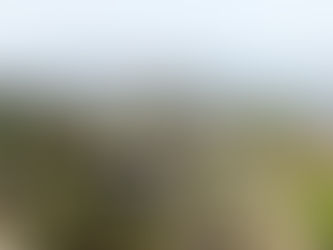 THE INVINCIBLE ISLAND - MURUD JANJIRA