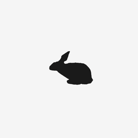 rabbit running(1)(1)(1).gif
