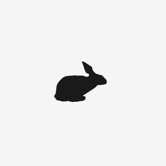 rabbit running(1)(1).gif