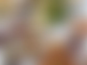 Fermentos - Nivel Intermedio