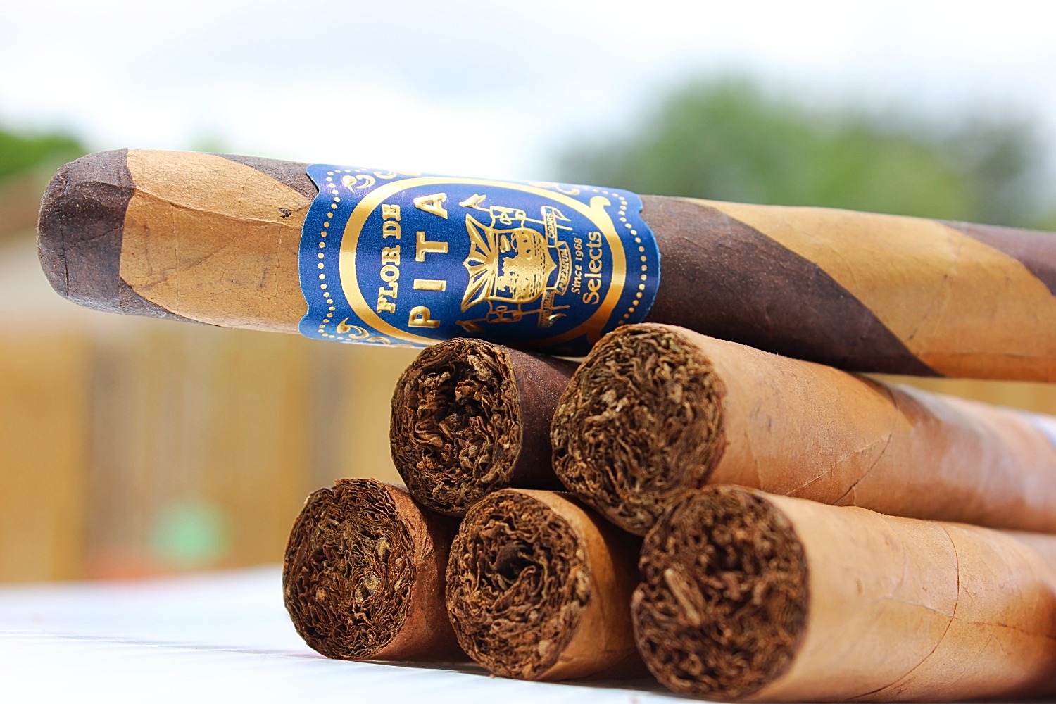 Pita Cigars Miami Cigar Shop