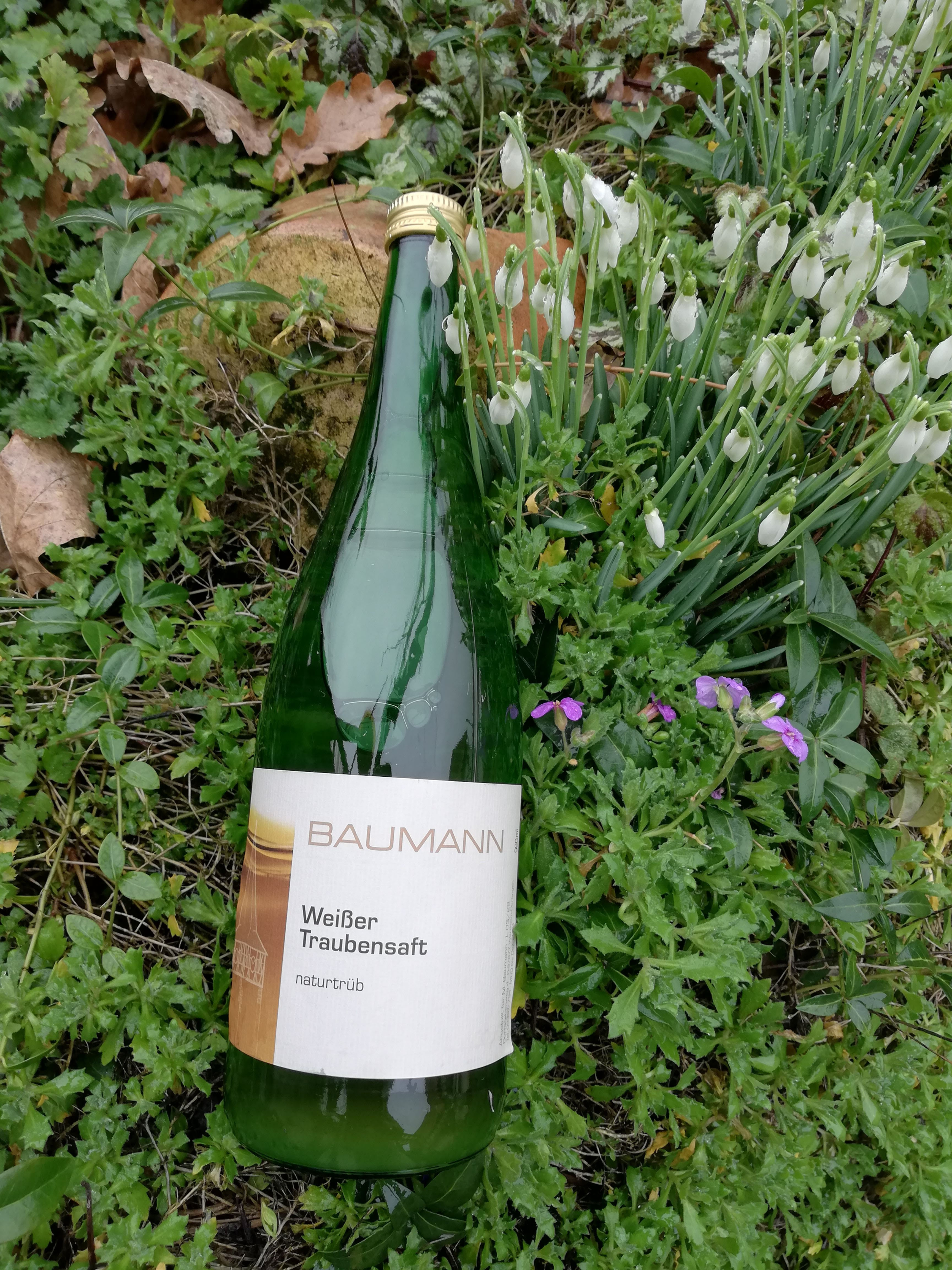 Traubensaft Weiß naturtrüb