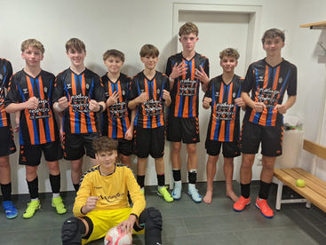 Gruppensieger - SFV - Hallenbewerbe U15