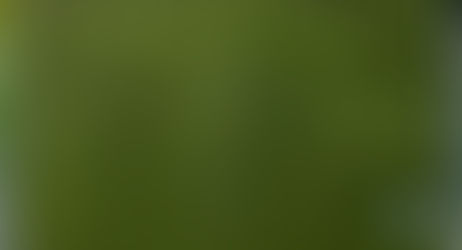 Fussballschule PINZGAU - Christian Ziege & Mike Pilko - SommerCamp II