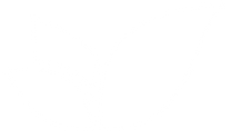logo_striort_internacional2_BRANCO_semfundo_edited_edited.png