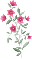 Pink-Flower-Plant 1