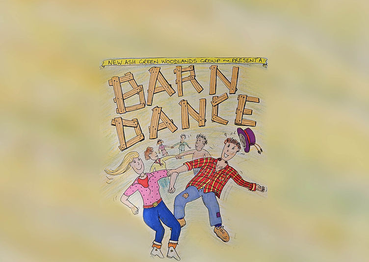 Barn Dance Web Image.jpg