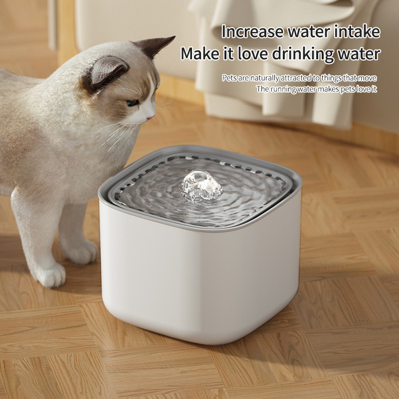 Fuente de Agua USB para Mascotas que Probé por €4 - Mi Experiencia Real