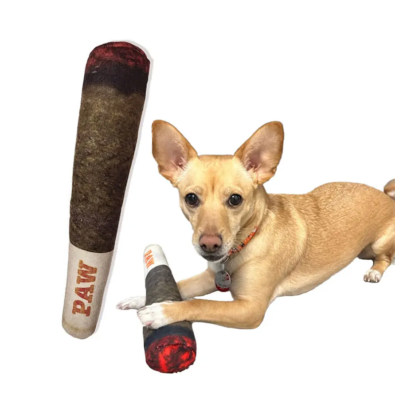 Juguetes Suaves Interactivos para Perros - Mi Reseña Honesta