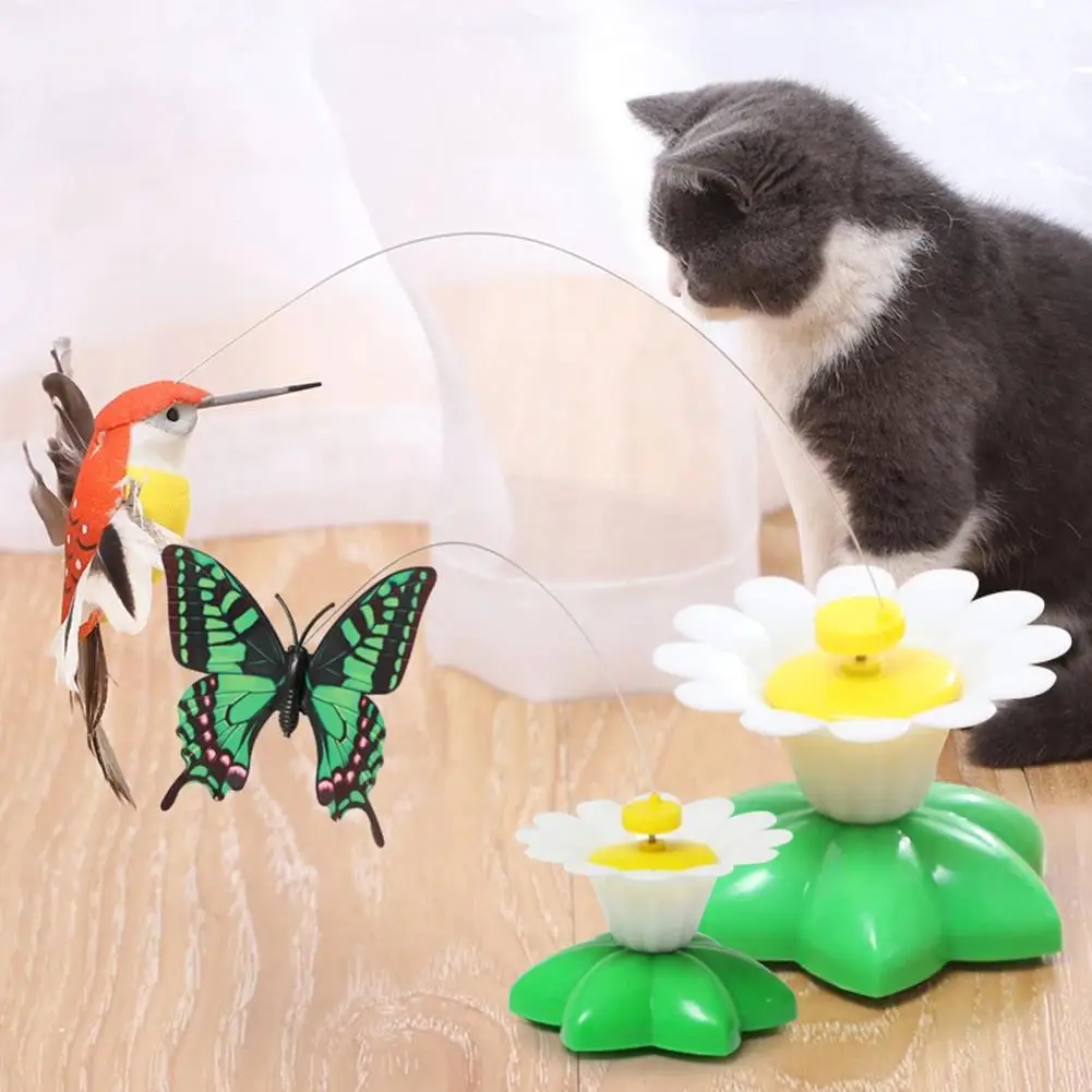 El juguete eléctrico de mariposa que volvió loca a mi gata
