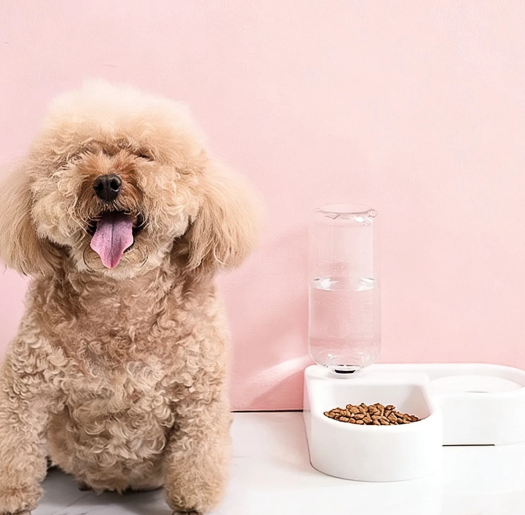 El comedero doble automático para mascotas que vale cada centavo