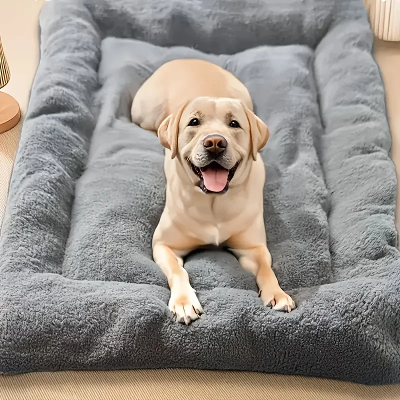 Cama Sofa Calentita para Perros: Mi Prueba Real de 3 Semanas