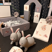Hoppy Birthday soft play Bunny theme party