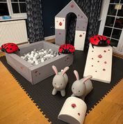 Ladybird vinyl add ons and plush toys for a themed first birthday party