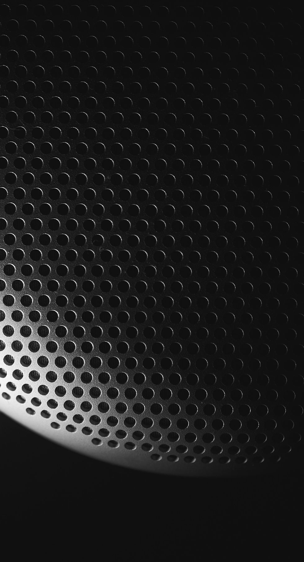 Microphone Close-Up
